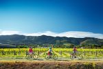 On a cycling tour with the Gentle Cycling Company